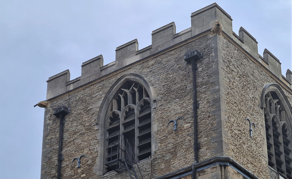 Finished Tower at Jesus College Cambridge