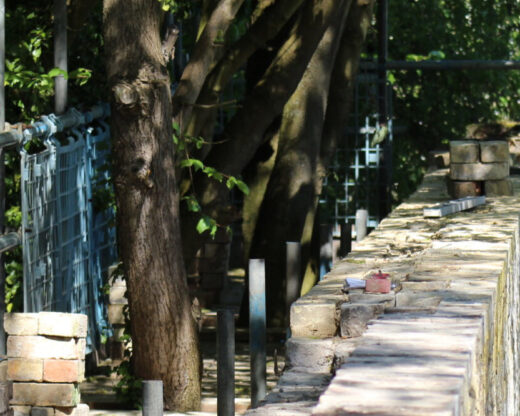 Wandlebury wall repairs